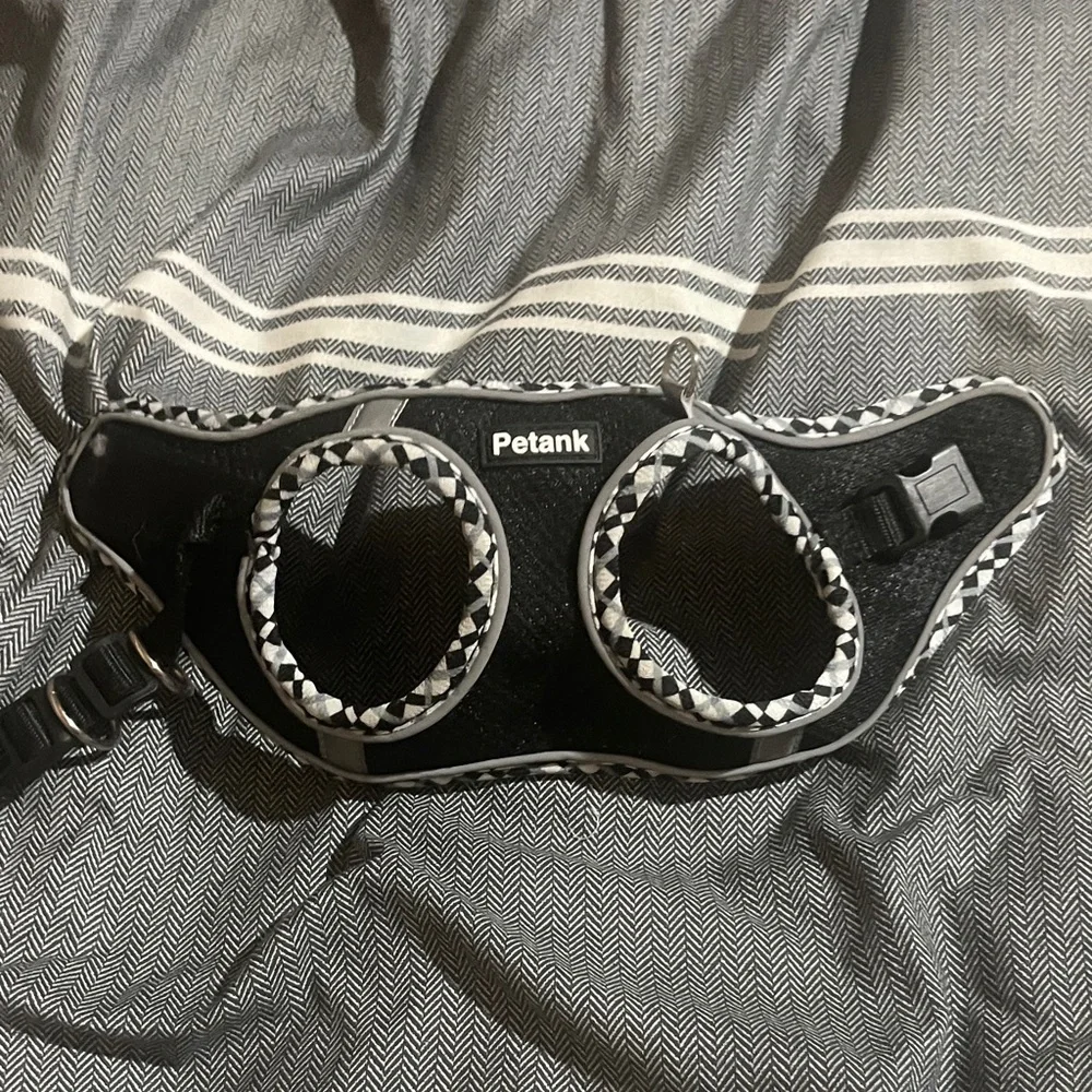 Chic Black and White Cat Harness and Leash Set